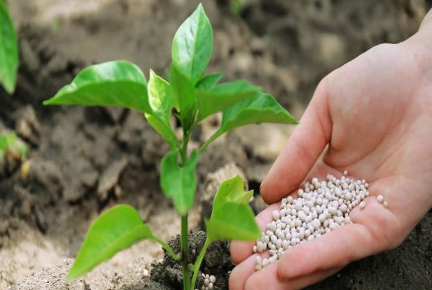 Fertilizer & Nutritionals