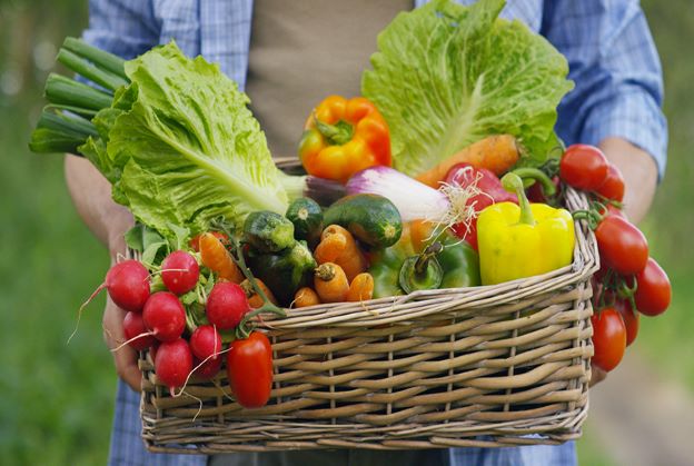 Vegetables & Fruits